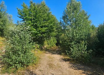 Land for 45 000 euro in Kolasin, Montenegro