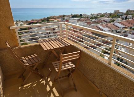 Appartement pour 900 Euro par mois à Torrevieja, Espagne