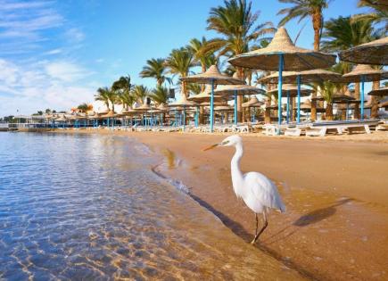 Flat for 15 299 euro in Hurghada, Egypt