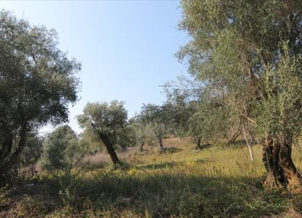 Land for 200 000 euro in Corfu, Greece