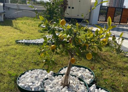 Flat for 59 999 euro in Mersin, Turkey