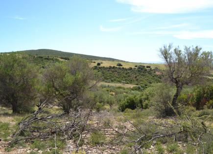 Terrain pour 160 000 Euro en Chalcidique, Grèce