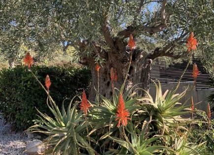 Maison pour 1 650 000 Euro à Loutraki, Grèce