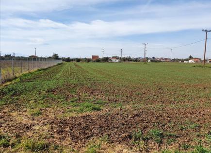 Terrain pour 800 000 Euro en Chalcidique, Grèce