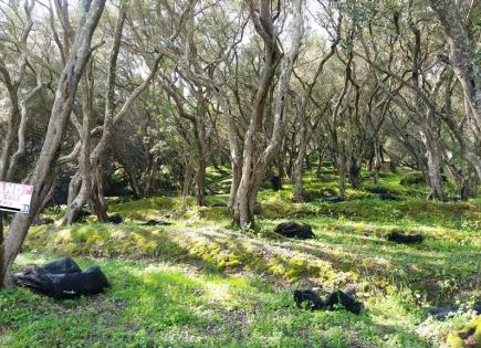 Terrain pour 170 000 Euro à Corfou, Grèce