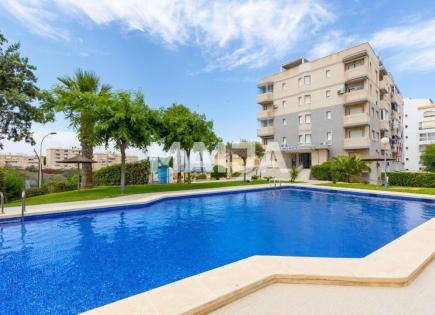 Appartement pour 145 000 Euro à Torrevieja, Espagne