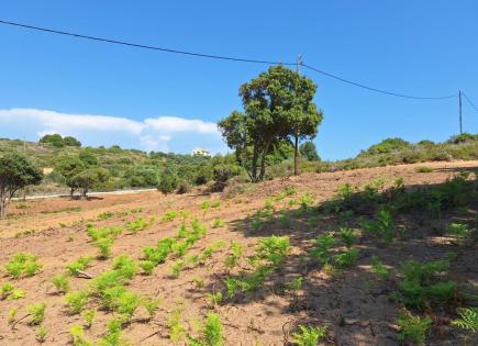 Land for 350 000 euro in Corfu, Greece
