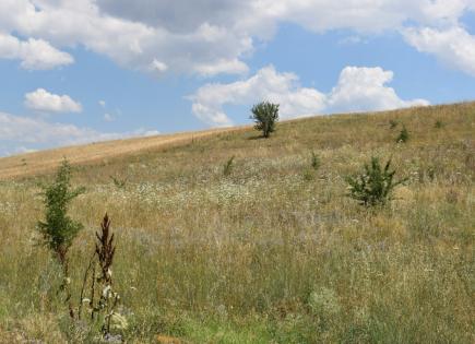 Land for 200 000 euro in Thessaloniki, Greece