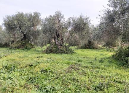Land for 150 000 euro in Corfu, Greece