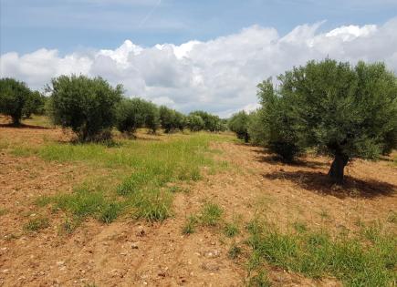Terreno per 430 000 euro a Sithonia, Grecia
