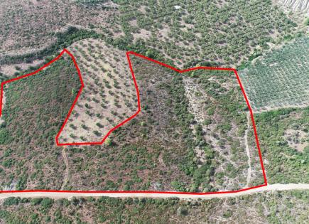 Land for 370 000 euro in Sithonia, Greece