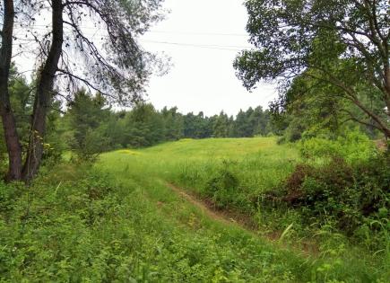 Land for 800 000 euro in Kassandra, Greece
