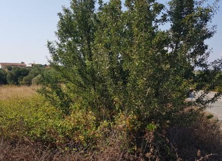 Terrain pour 270 000 Euro à Kassandra, Grèce