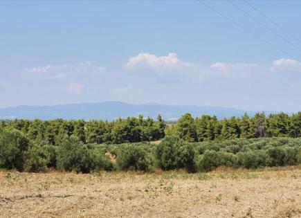 Terrain pour 300 000 Euro à Kassandra, Grèce