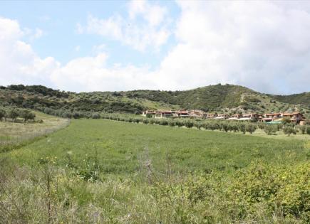 Land for 800 000 euro in Kassandra, Greece