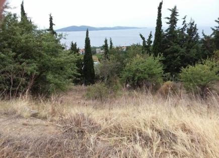 Land for 500 000 euro in Chalkidiki, Greece