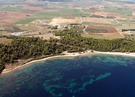 Land for 1 800 000 euro in Kassandra, Greece