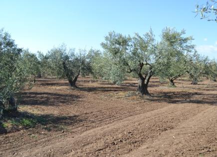 Terreno para 400 000 euro en Calcídica, Grecia