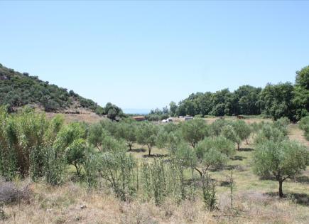 Terrain pour 350 000 Euro en Sithonie, Grèce