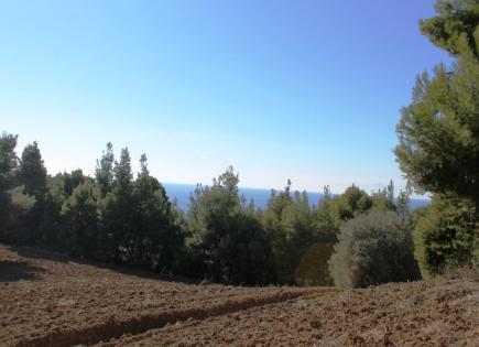 Terreno per 1 000 000 euro a Kassandra, Grecia