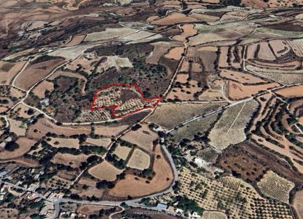 Terrain pour 250 000 Euro à Paphos, Chypre
