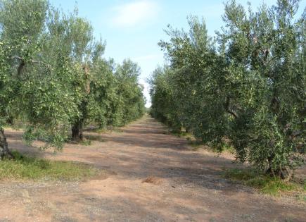 Grundstück für 1 500 000 euro in Chalkidiki, Griechenland
