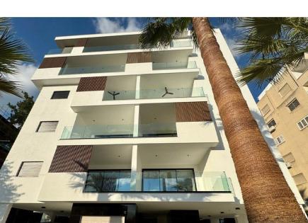 Apartment for 1 800 euro per month in Nicosia, Cyprus