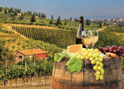 Propiedad comercial para 35 000 000 euro en Prato, Italia