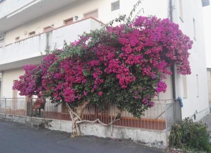 Wohnung für 49 000 euro in Santa Maria del Cedro, Italien