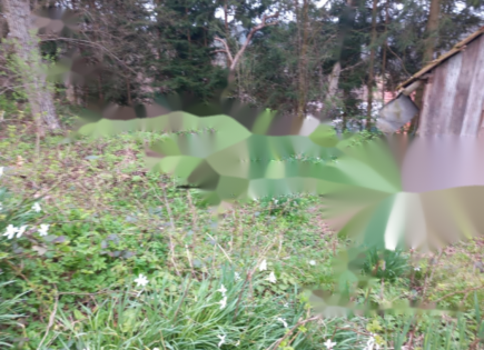 Terreno per 392 080 euro a Lubiana, Slovenia