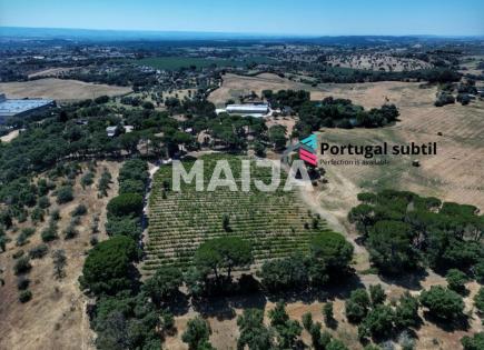 Grundstück für 6 500 000 euro in Torres Novas, Portugal