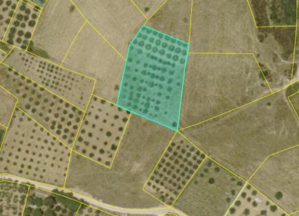 Land for 160 000 euro in Sithonia, Greece
