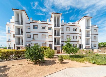 Penthouse für 167 000 euro in Punta Prima, Spanien