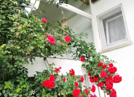 Maison pour 690 000 Euro à Bled, Slovénie
