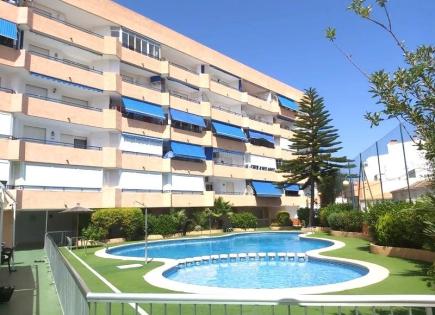 Appartamento per 83 000 euro sulla Costa Blanca, Spagna
