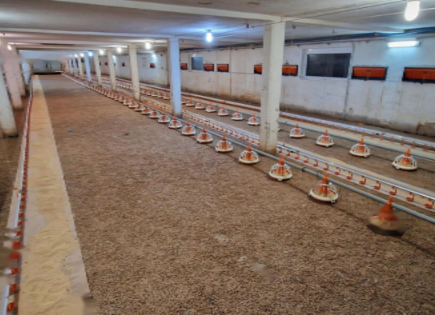 Granja para 490 000 euro en Slovenska Bistrica, Eslovenia
