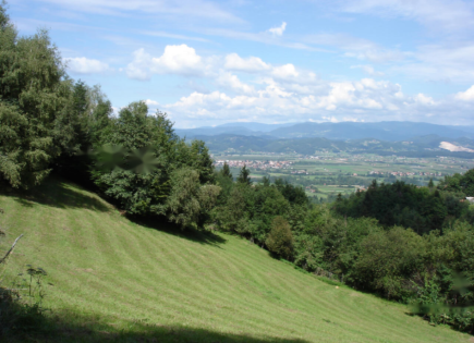 Azienda agricola per 170 000 euro a Prebold, Slovenia