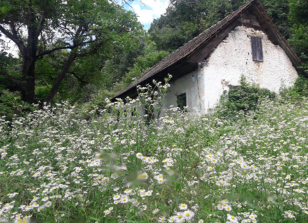 Farm for 45 000 euro in Krško, Slovenia