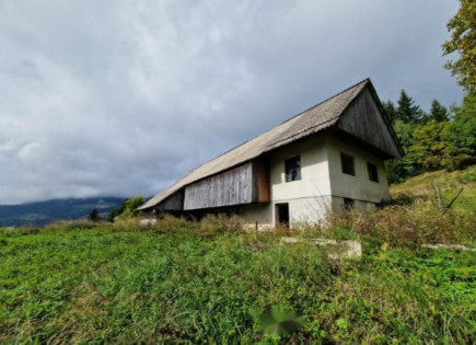 Granja para 260 000 euro en Muta, Eslovenia