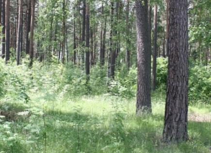 Grundstück für 1 380 000 euro in Riga, Lettland