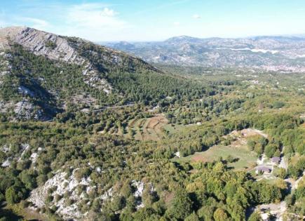 Terreno para 55 000 euro en Cetinje, Montenegro