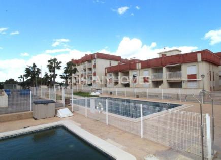 Ático para 194 000 euro en Orihuela, España
