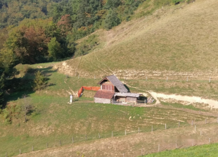 Azienda agricola per 76 000 euro a Ptuj, Slovenia