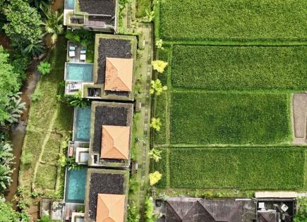 Villa for 220 euro per day in Ubud, Bali, Indonesia