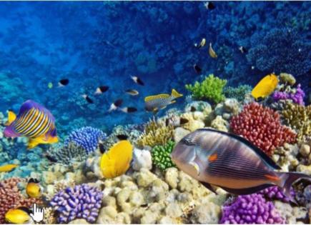 Appartamento per 40 000 euro a Hurghada, Egitto