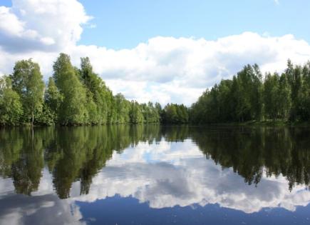 Terrain pour 50 000 Euro à Tohmajarvi, Finlande