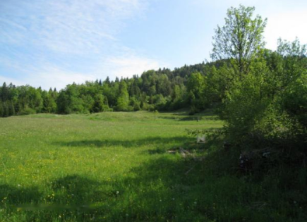 Azienda agricola per 490 000 euro a Cerknica, Slovenia