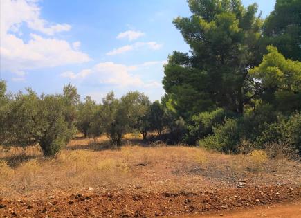 Land for 380 000 euro in Sithonia, Greece