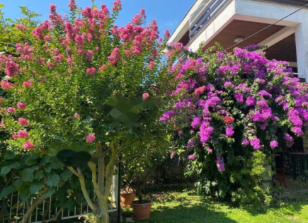 House for 1 600 000 euro in Opatija, Croatia