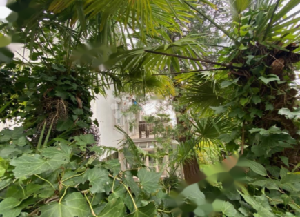 House for 1 050 000 euro in Opatija, Croatia